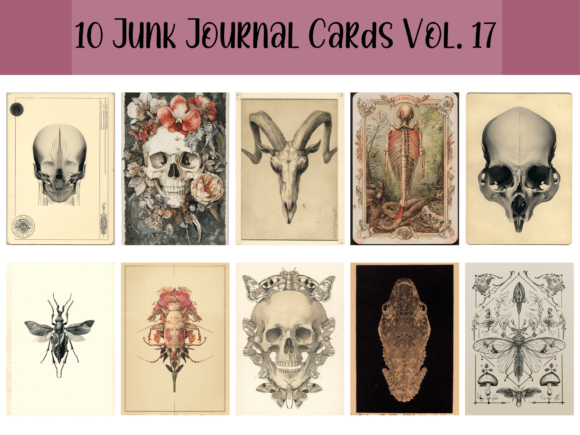 Download Junk Journal Cards Ephemeral Collage - Journal Collection